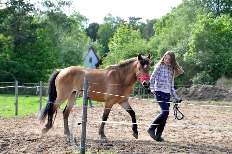 Anden særlig race Bella-Luna - Emma går med Luna billede 20