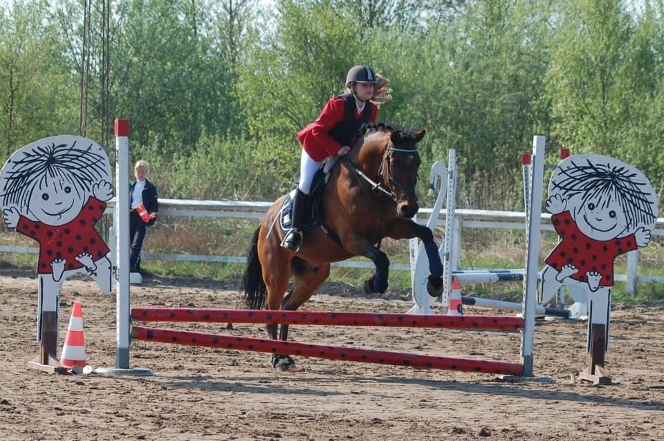 New Forest ORCHID'S PETER PAN  billede 4