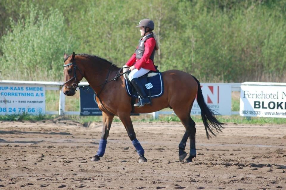 New Forest ORCHID'S PETER PAN  billede 10