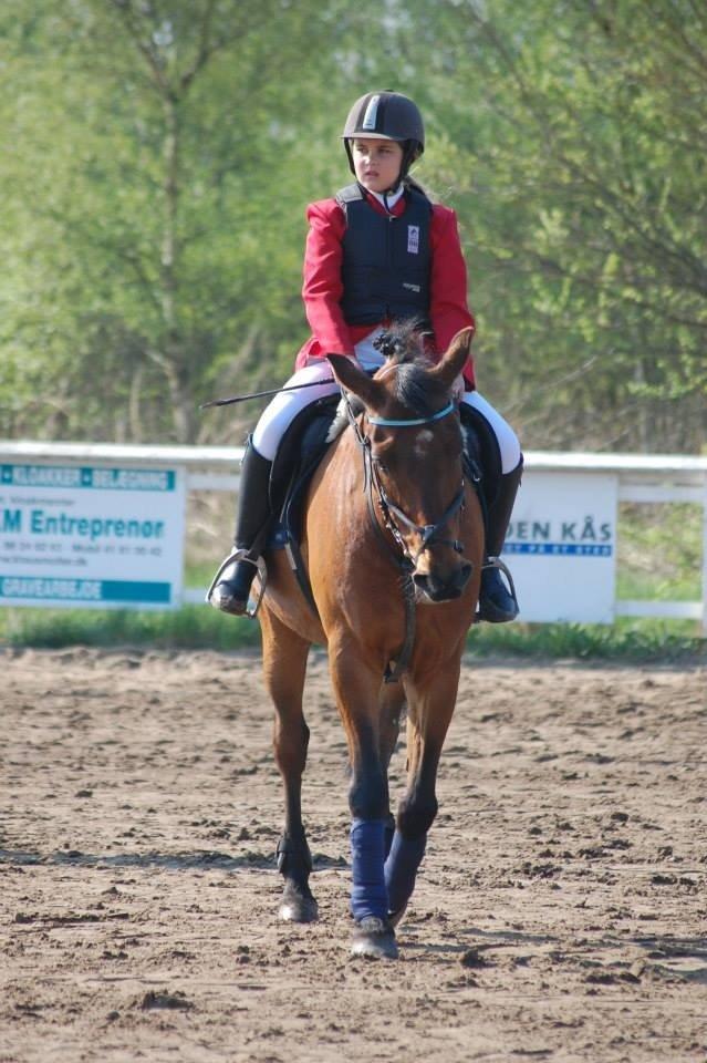 New Forest ORCHID'S PETER PAN  billede 11