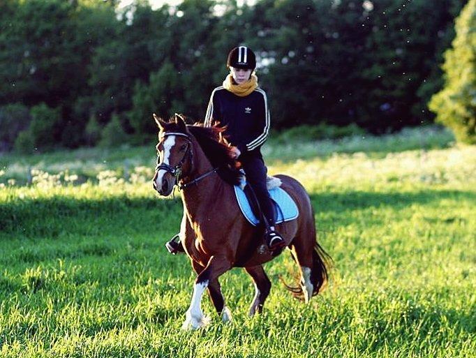 Anden særlig race Hesdalskær's Victoria - Juni 2013 | Du er min prinsesse!♥. 
Og min lille skat ♥. billede 17