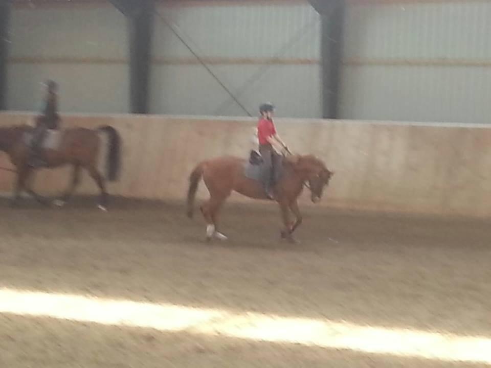 DSP Martini asti billede 9