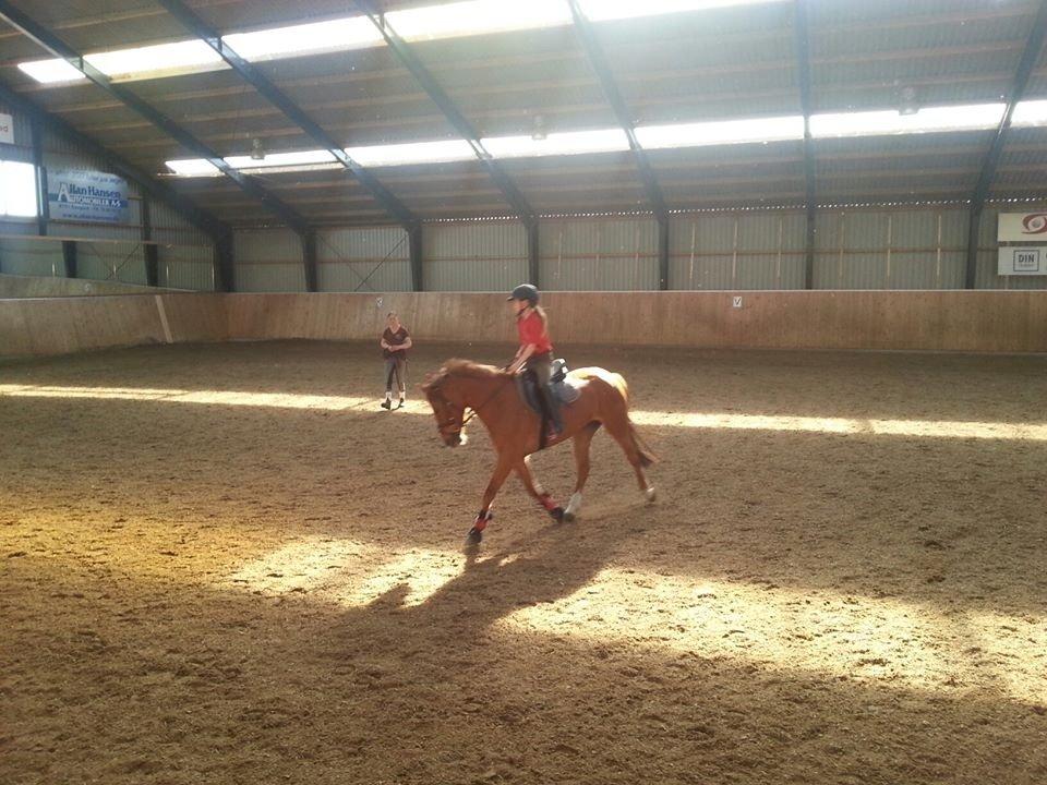 DSP Martini asti billede 10