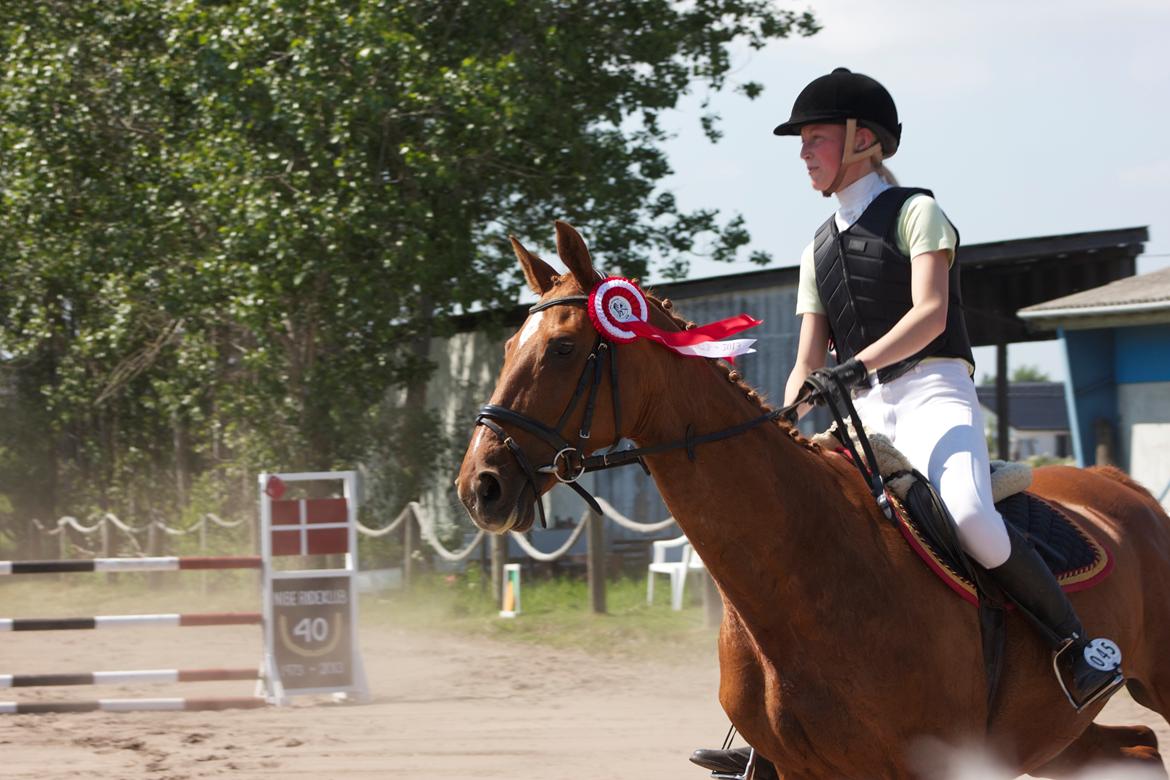 Dansk Varmblod Madame Bally - Æresrunde d. 1/6-2013 da vi vandt vores første LB(110cm) billede 1