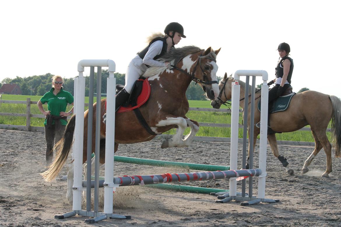 Pinto † Pucahontas † billede 6