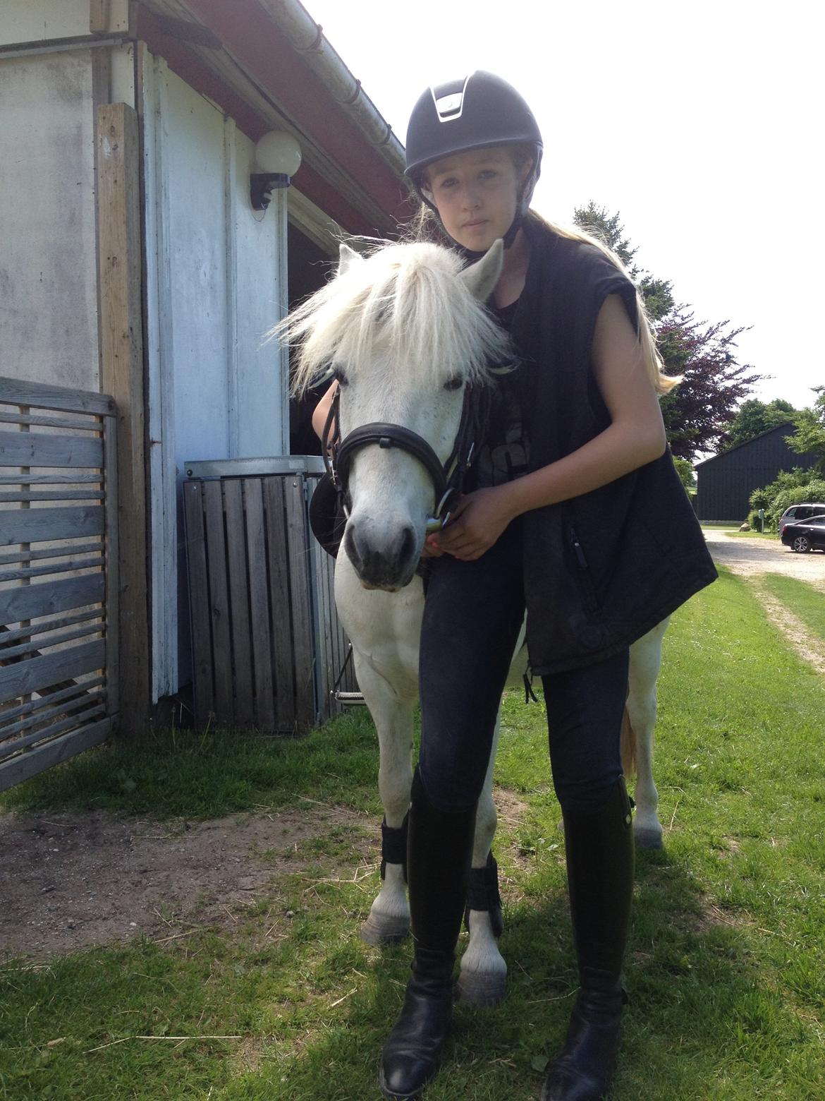 Anden særlig race Kalhaves Laban billede 19