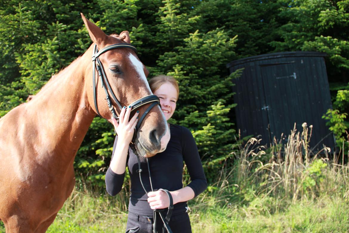 Frederiksborg Østervangs Fleur De Lis billede 3