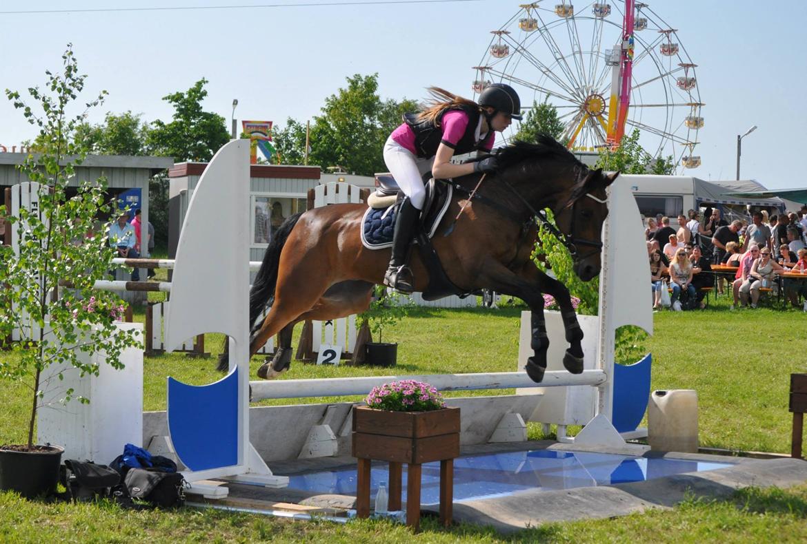 Tysk Sportspony Sultan - Bøllen i MB** på hjallerupmarken:* billede 1