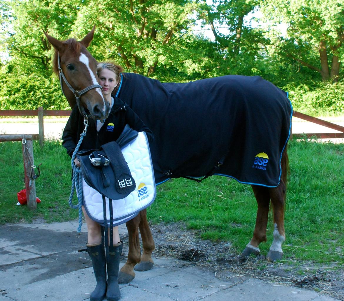 Dansk Varmblod Carmen Electra - Tak til ASE for det fine nye udstyr, Carmen d. 5 Juni  billede 1