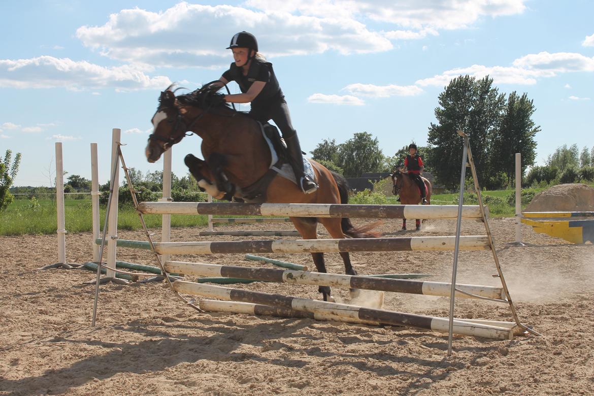 Welsh Pony (sec B) Rakt's Britney solgt - Jeg springer 100  på Raket billede 1