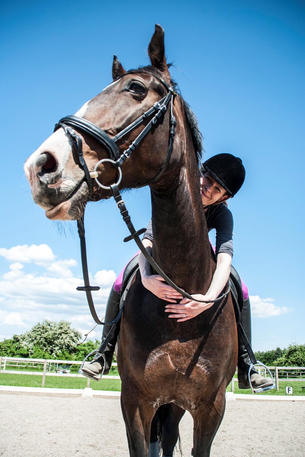 Hollandsk Varmblod Annika - Nyder afslapning efter træning! billede 27