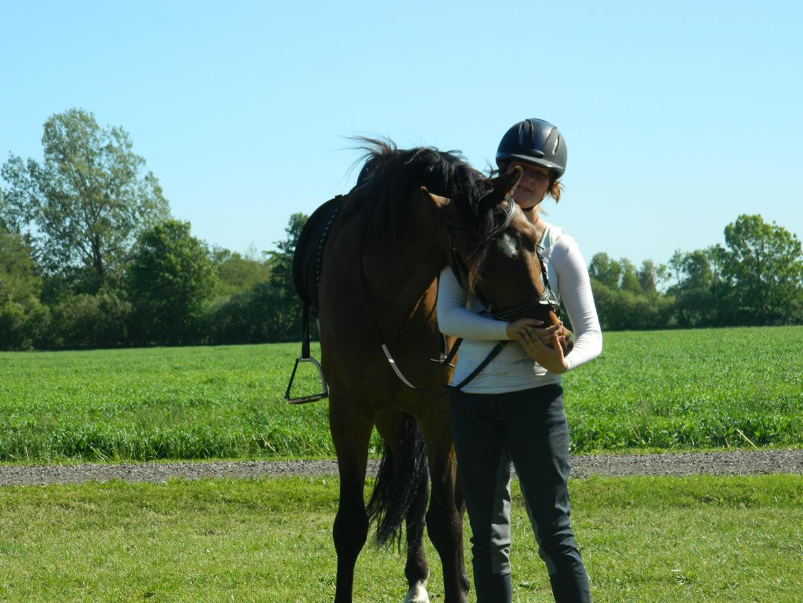 Dansk Varmblod Stenager's Remember Me - 05.06.13 - Min dejlige hest, der hygger efter ridning ;-) billede 14