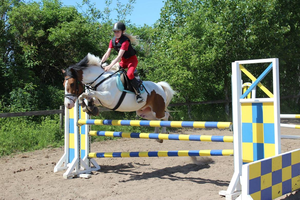 Anden særlig race Strit <3 - elsker dig ( foto sofie) billede 16