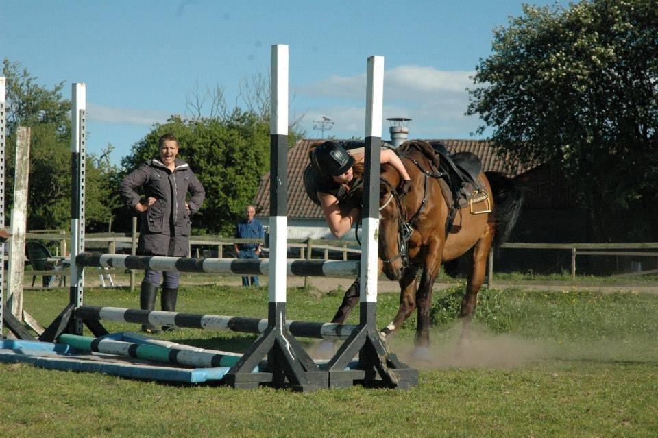 Dansk Varmblod Rikke*Stjerne* - Kan jo ligeså godt falde af med stil :P billede 19