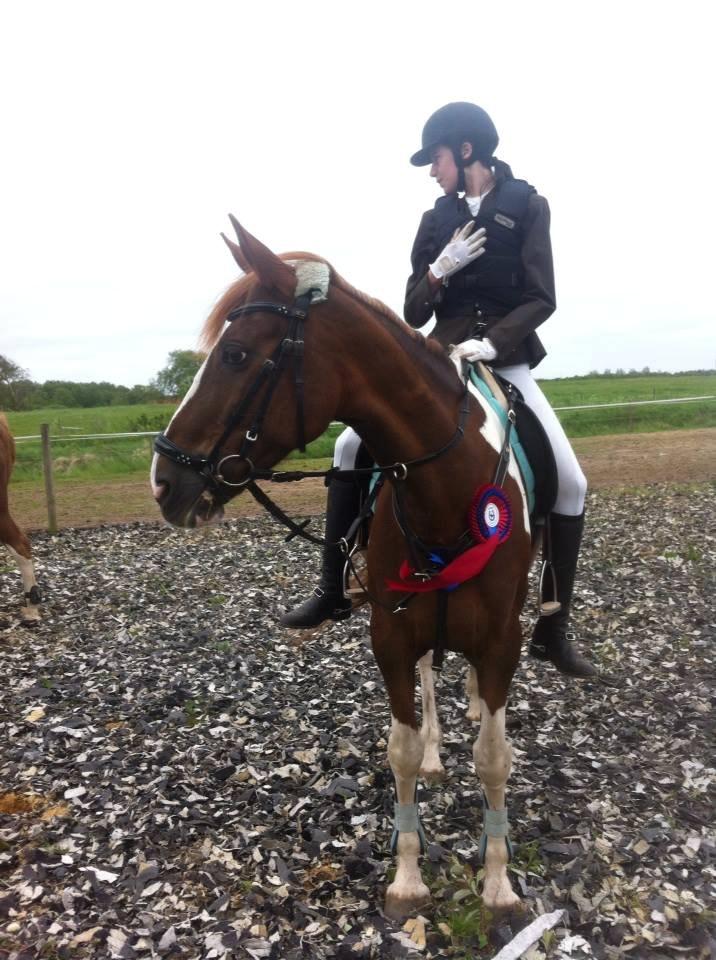 Belgisk varmblod Camouflage! Springhesten!!<3 - Stævnet på Kærbo Rideklub d.1-2 Juni billede 3