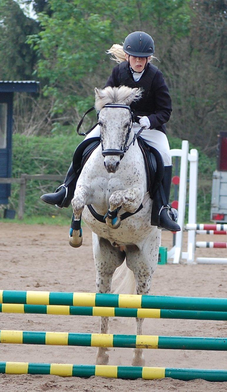 Anden særlig race Hoppity Hop (Verdens bedste pony)<3 - Mig og Hoppity Hop til kommunemesterskab. Det gik super godt<3 billede 13