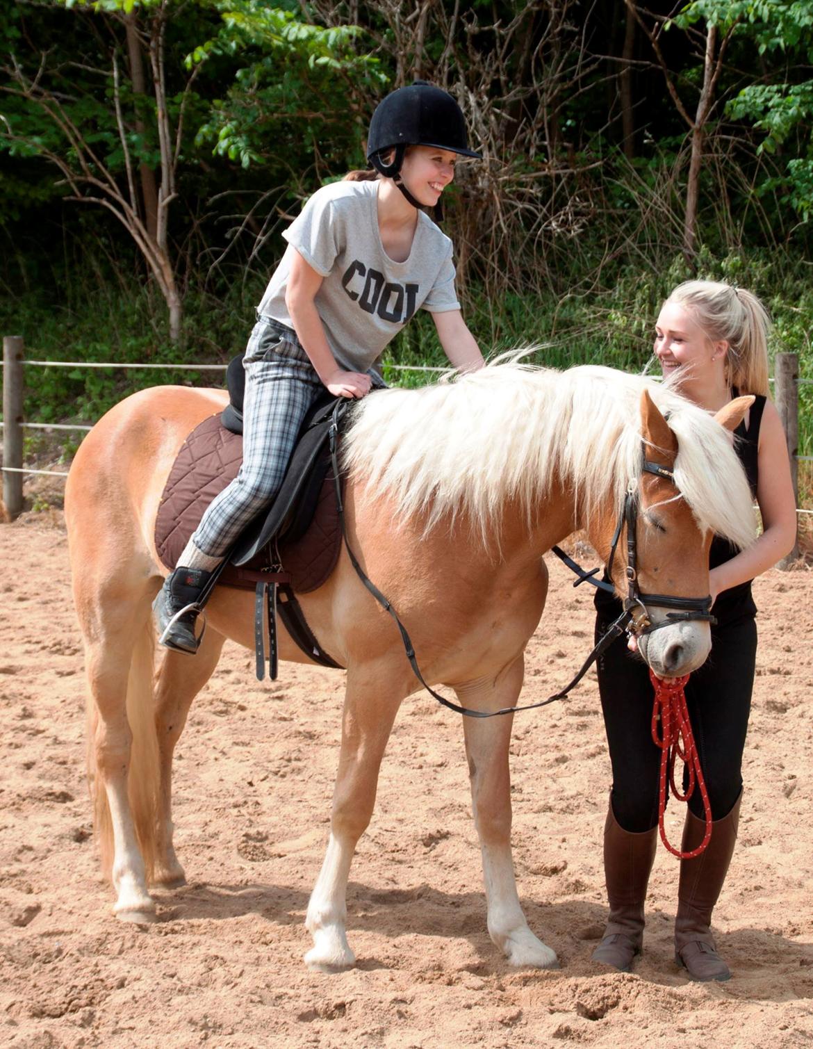 Tyroler Haflinger Fannie af Stenbek - Første gang Fannie fik rytter på sig. Det var en drøm at sidde på vidunderen. :-* <3
d.2Juni billede 7