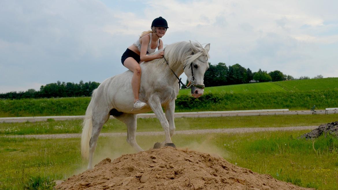 Anden særlig race Cindy - Den sandbunke er det BEDSTE vi ved!  billede 9