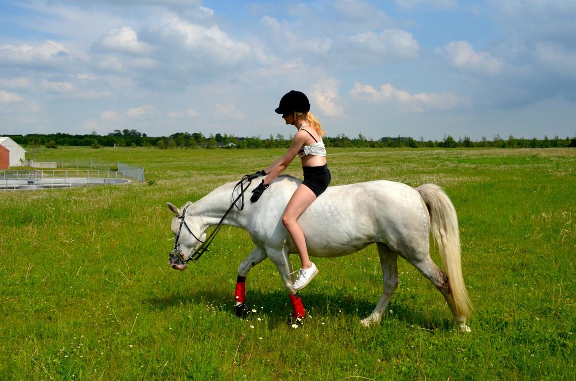 Anden særlig race Cindy - sommer og sol billede 7