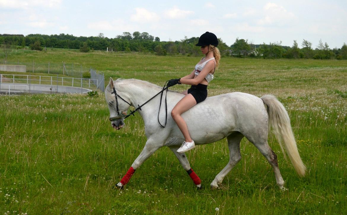 Anden særlig race Cindy - Cindy og jeg i lidt off road dressur :-) billede 1