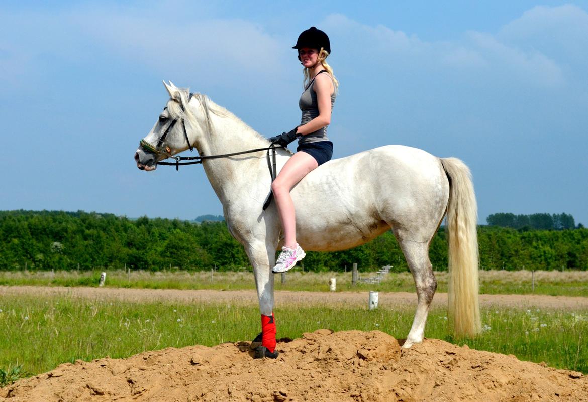 Anden særlig race Cindy - Mette og Cindy på den højt elskede sandbunke :-)  billede 4