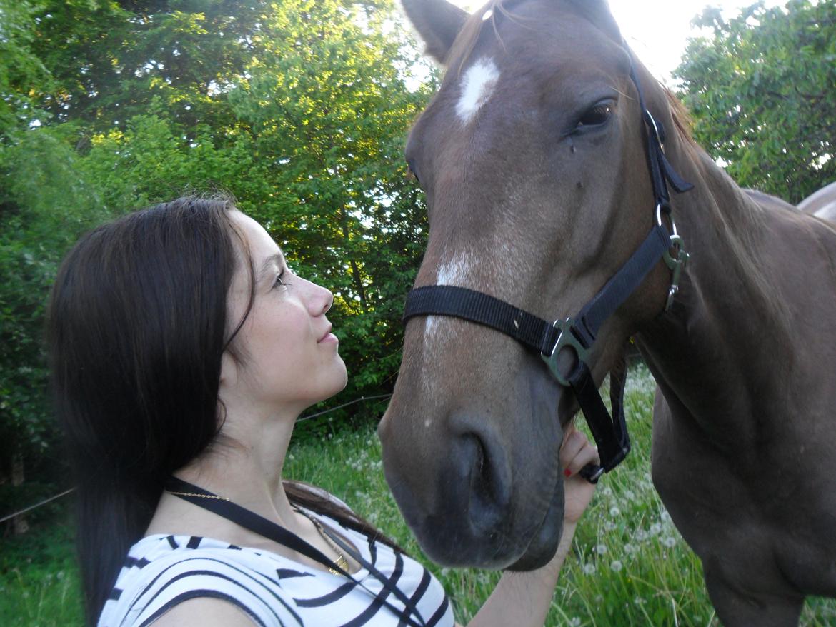 Dansk Varmblod Amazing Amarilla - min skat. <3 billede 5