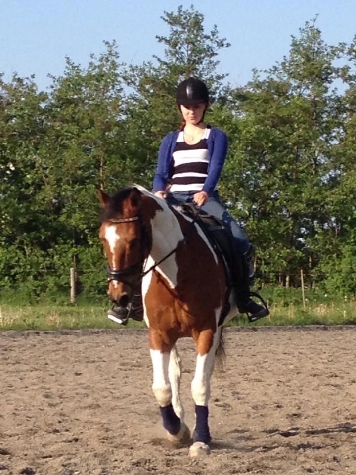 Anden særlig race Xelon - 30/5-13
Foto: Joses mor billede 18