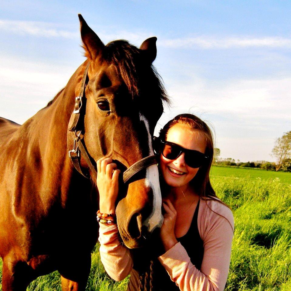 Hannoveraner Linnebjerg's Dollar Girl billede 2