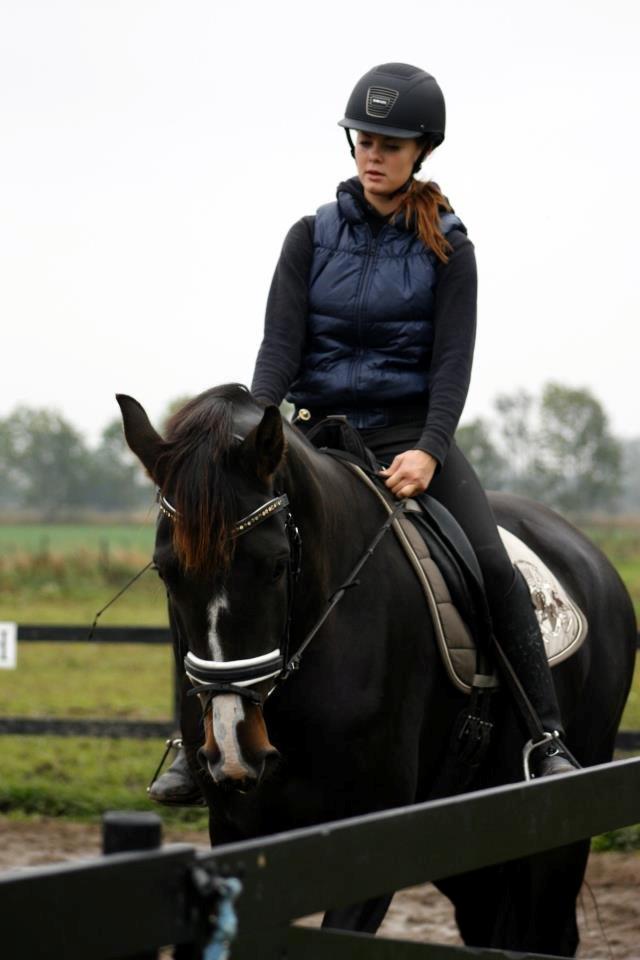 Hannoveraner Linnebjerg's Dollar Girl billede 7