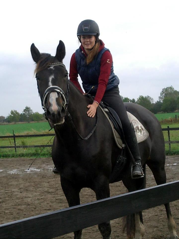 Hannoveraner Linnebjerg's Dollar Girl billede 11