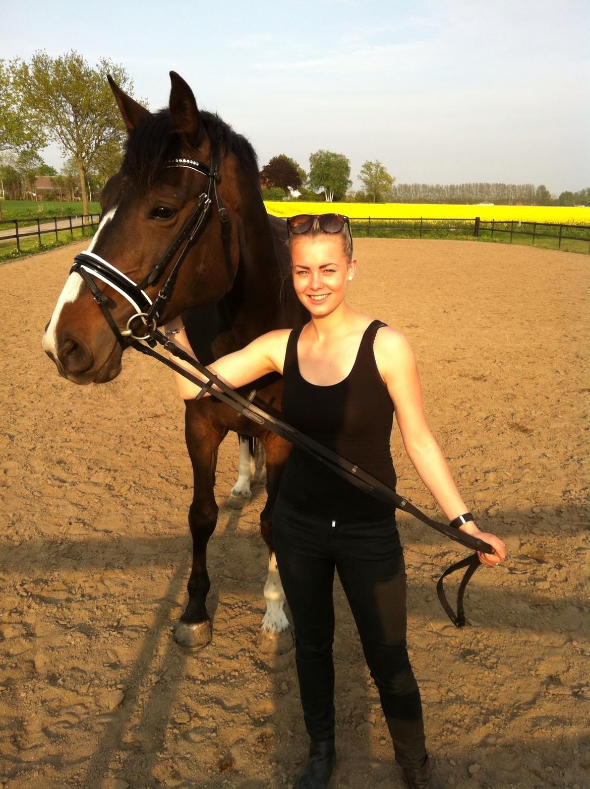 Hannoveraner Linnebjerg's Dollar Girl billede 12