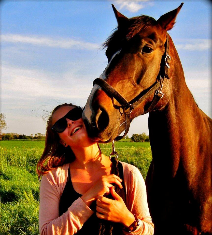 Hannoveraner Linnebjerg's Dollar Girl billede 13