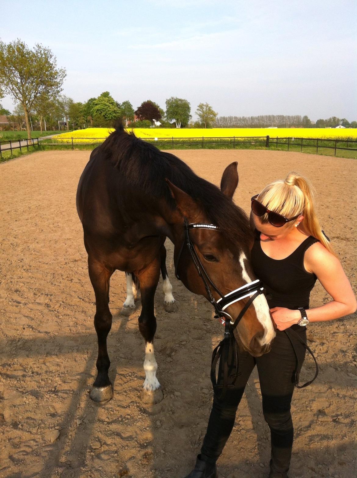 Hannoveraner Linnebjerg's Dollar Girl billede 14