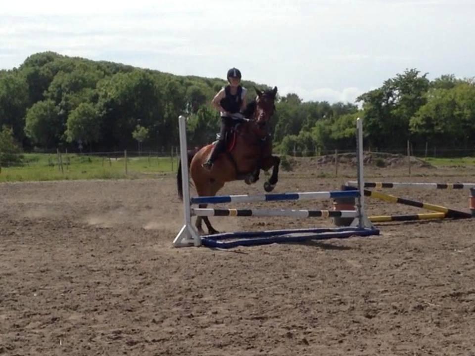 Anden særlig race Lucky - Vi skulle lave en pony vending efter springet så derfor spriner vi så skævt!<33 billede 12