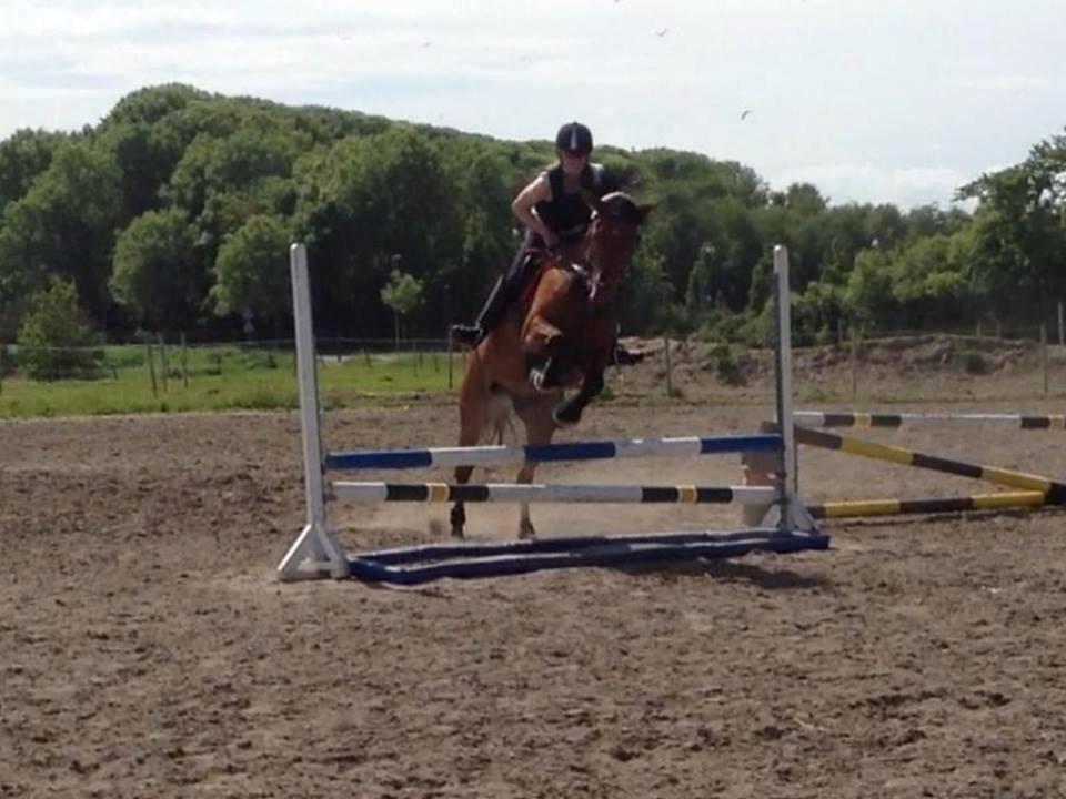 Anden særlig race Lucky - Vi skulle lave en pony vending efter springet så derfor spriner vi så skævt!<33 billede 13