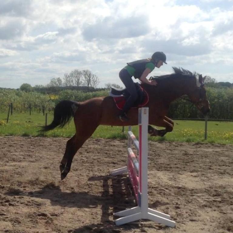 Anden særlig race Lucky - Lucky springer 100 cm!:-) billede 20