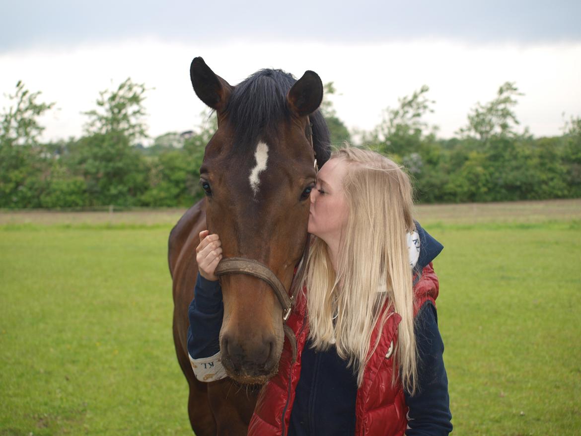 Holstener Dumbledore - Farvel min bedste og allerkæreste ven. Du var en fighter lige til det sidste. Tak for alt, hvil i fred min engel.  billede 20