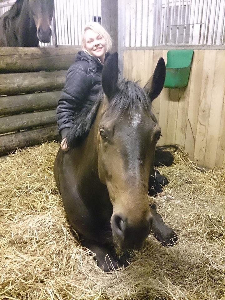 Dansk Varmblod Herslev Mark's Rosita - hun er kun ryttervant og har ikke været rigtig i hænder længe, men alligevel ufattelig tillidsfuld :D billede 13