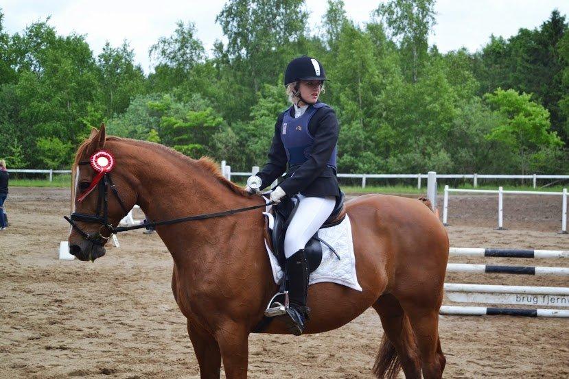 Hannoveraner Kirkeledgaard Luna - Klubmester 2013!! <3 
NØR - 2/6 - 2013 billede 18