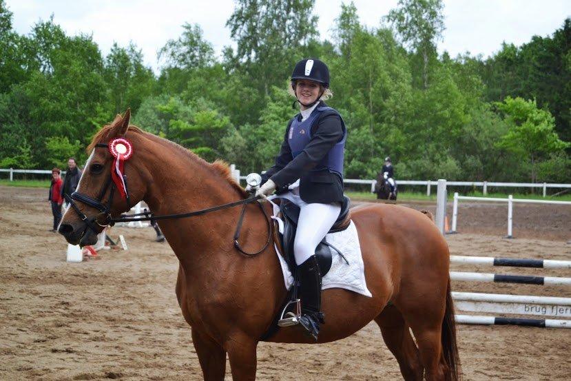 Hannoveraner Kirkeledgaard Luna - Klubmester 2013!! <3
NØR - 2/6 - 2013 billede 19