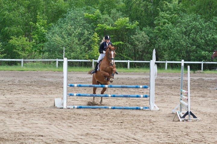 Hannoveraner Kirkeledgaard Luna - Klubmester 2013 - Nør 2/6 -2013<3 90/100 cm<3 billede 1