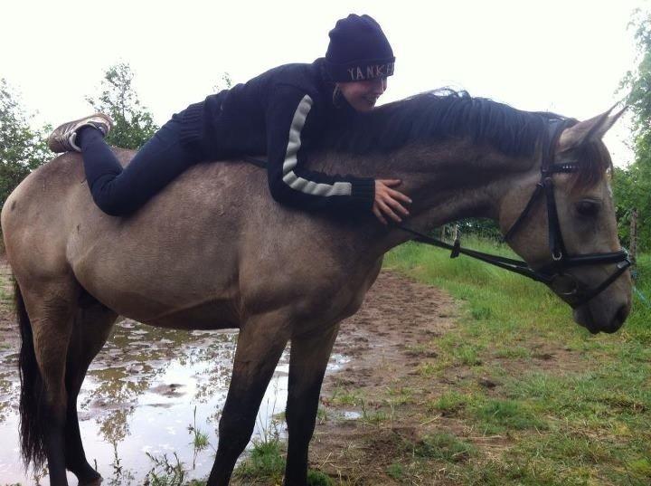 DSP Jægersborgs Mr. Darcy billede 13