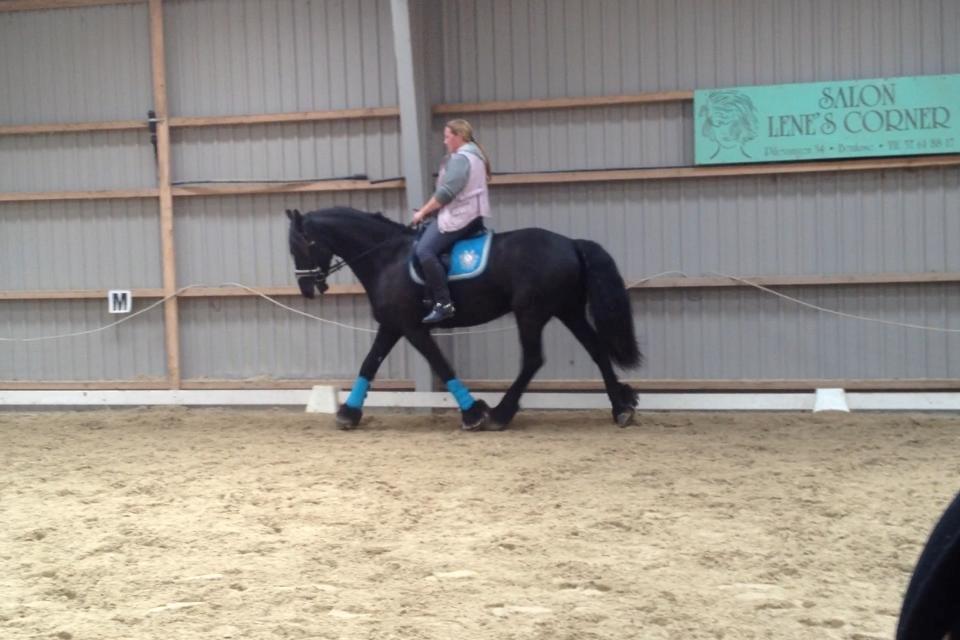 Frieser Barik *solgt* billede 20