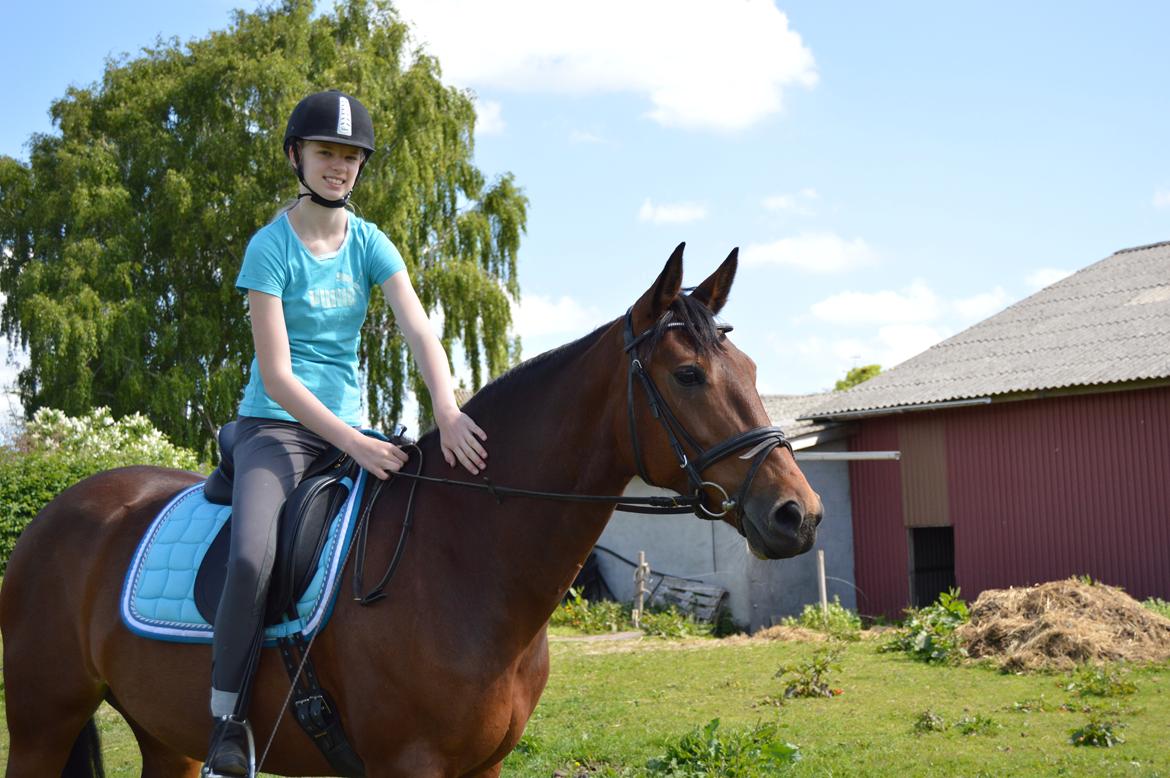 Anden særlig race Annabell billede 6