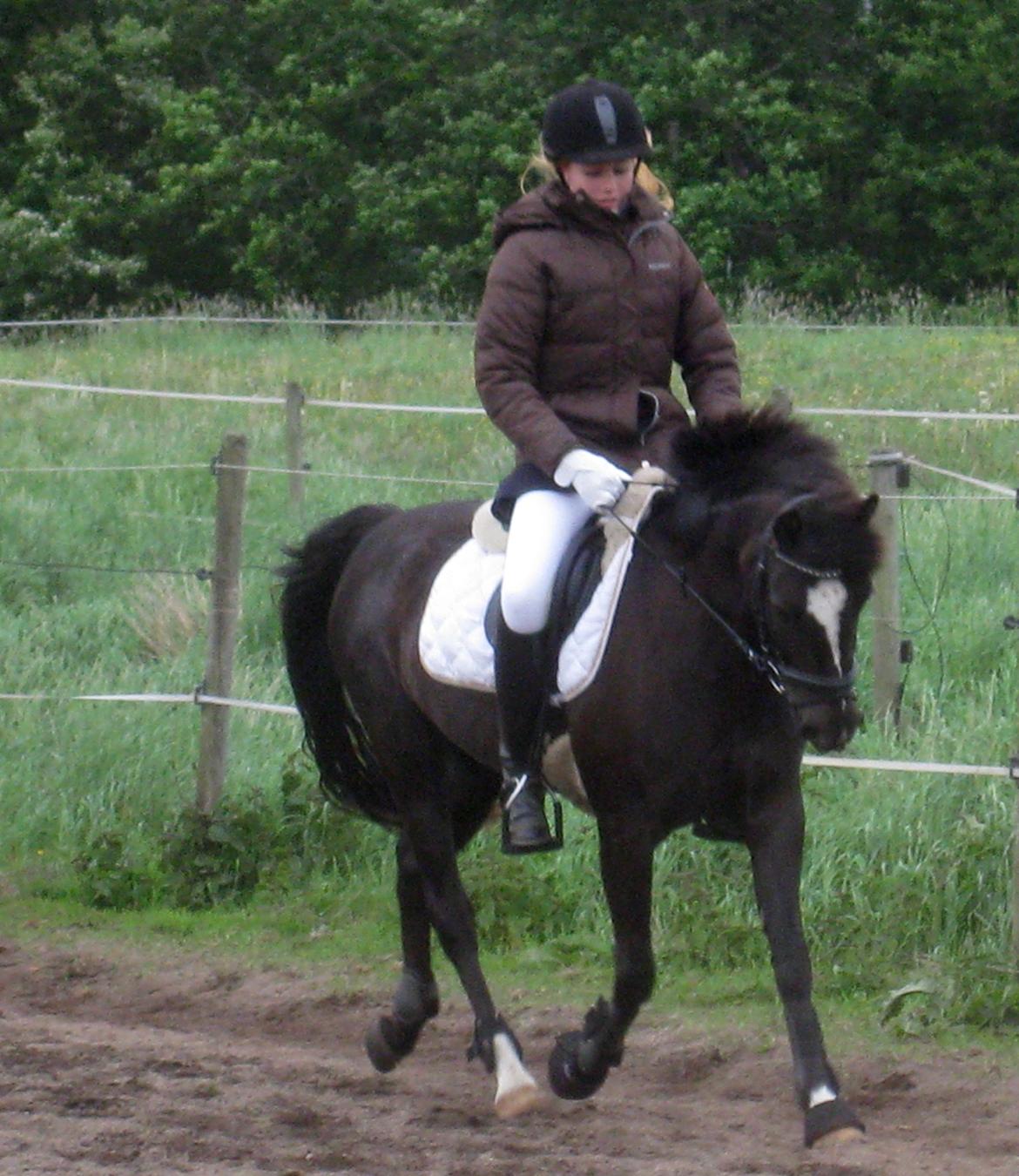 DSP Debbie - Opvarming til første springstævne :-) billede 1