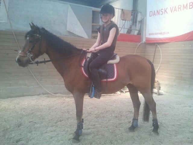 Welsh Pony (sec B) Victoria Madly <3 (A pony) - første gang jeg sad på ham <3 billede 26