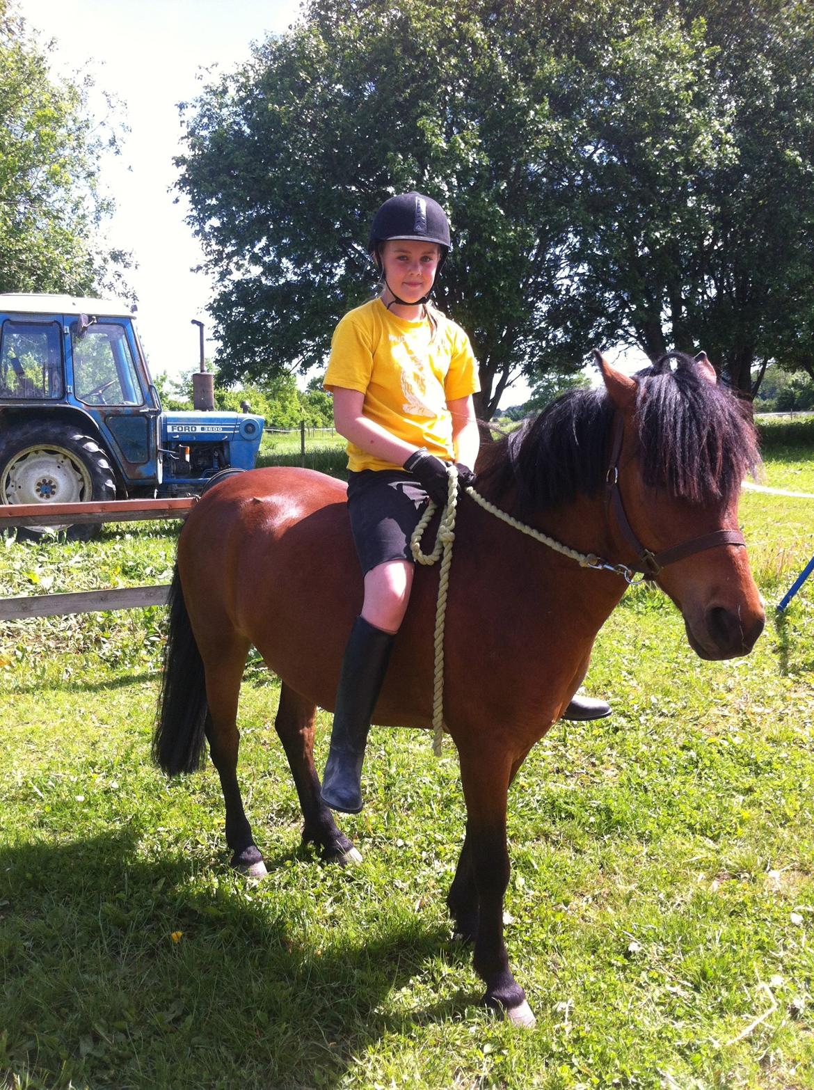 Anden særlig race Romze - ;D billede 6