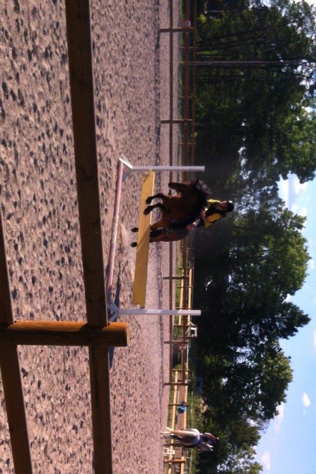 Anden særlig race Romze - ja det vender lidt forkert og hvad så!!! billede 8