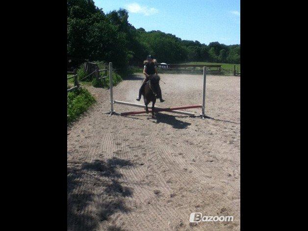 Islænder Flicka billede 13