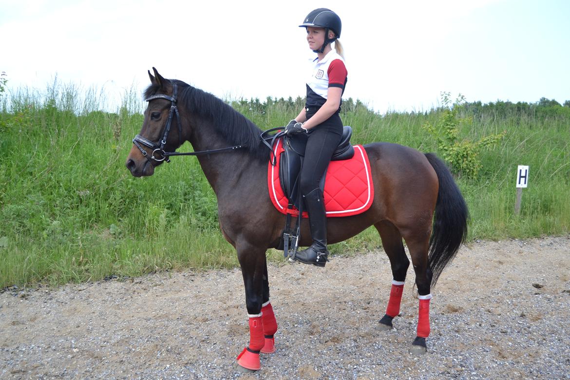 DSP Kjær's Calderina billede 17